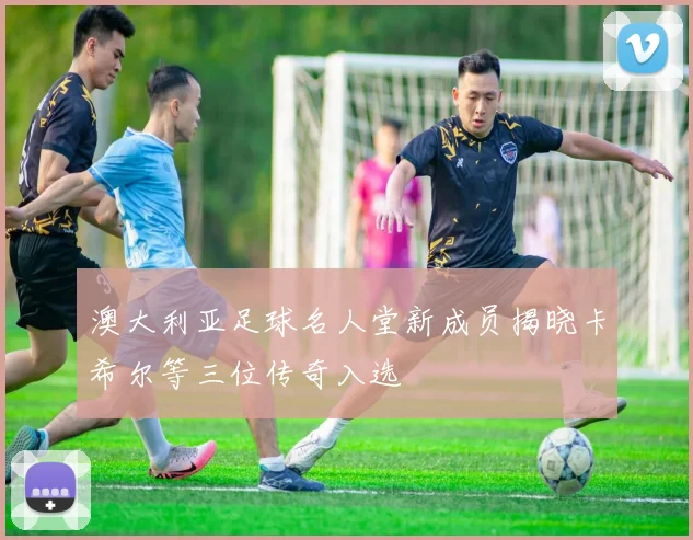 澳大利亚足球名人堂新成员揭晓卡希尔等三位传奇入选