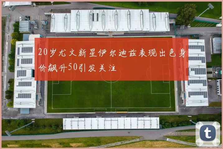 20岁尤文新星伊尔迪兹表现出色身价飙升50引发关注